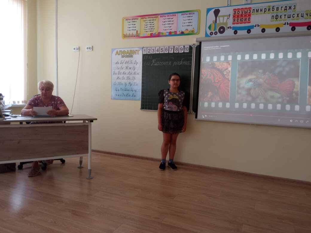 Викторина &amp;quot;Загадки подводного мира&amp;quot;.